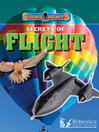 Secrets of Flight (eBook)